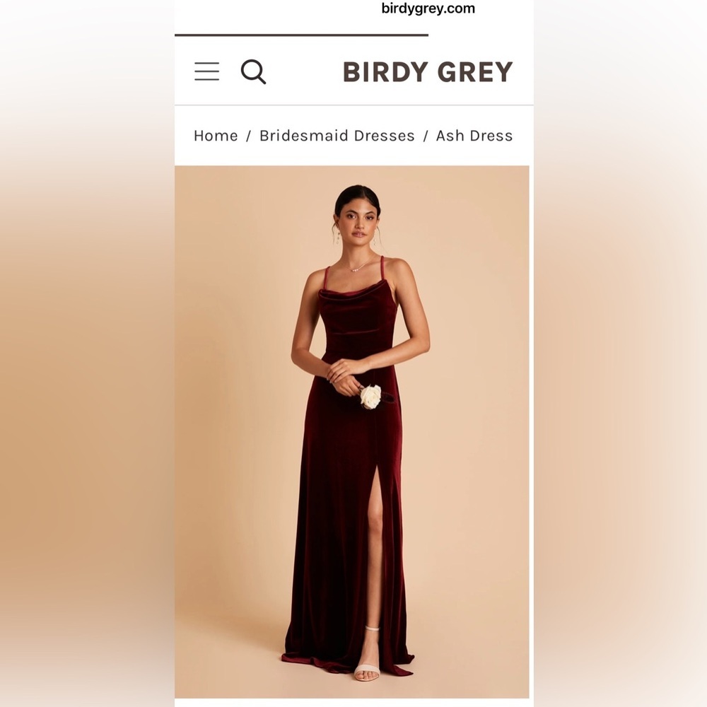 Birdy Grey Cabernet Velvet Maxi Dress – Size Medium
